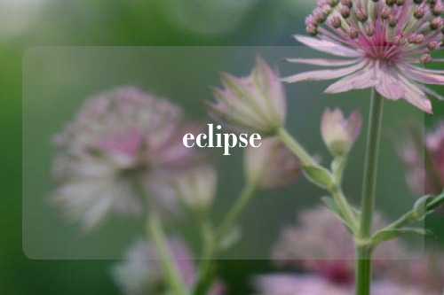 eclipse