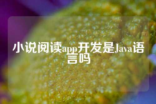 小说阅读app开发是Java语言吗