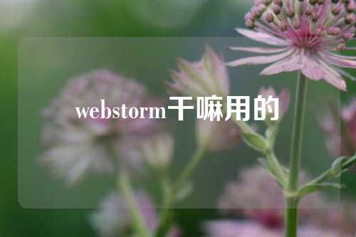 webstorm干嘛用的