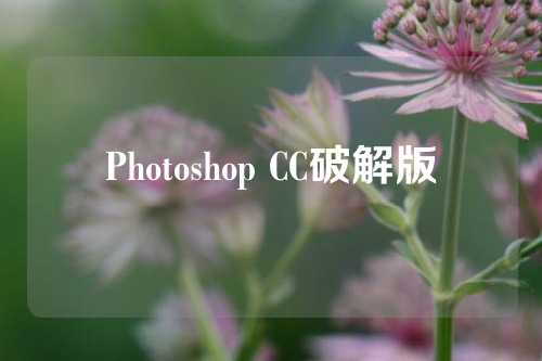 Photoshop CC破解版