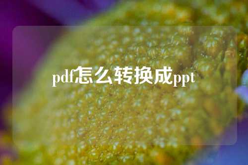 pdf怎么转换成ppt