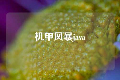 机甲风暴java