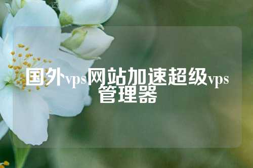 国外vps网站加速超级vps管理器