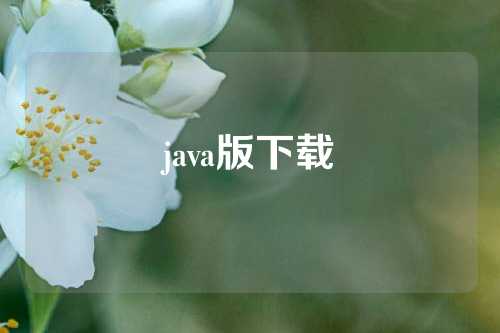 java版下载