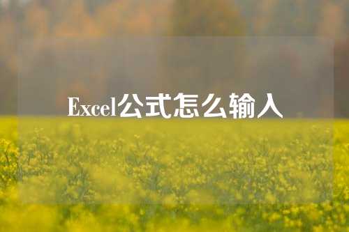 Excel公式怎么输入