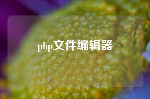 php文件编辑器