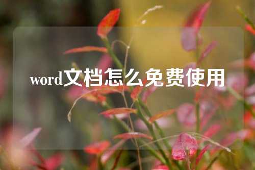 word文档怎么免费使用