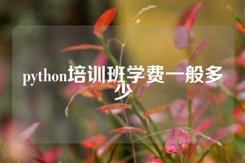 python培训班学费一般多少