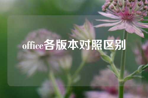 office各版本对照区别