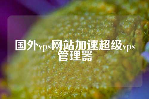 国外vps网站加速超级vps管理器