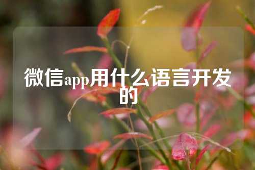 微信app用什么语言开发的