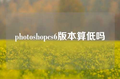 photoshopcs6版本算低吗