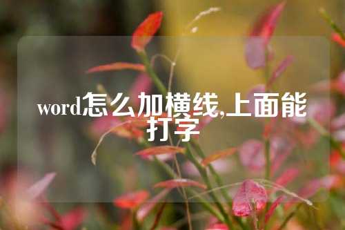 word怎么加横线,上面能打字