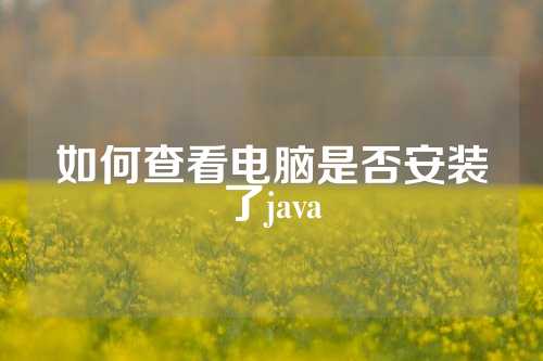 如何查看电脑是否安装了java