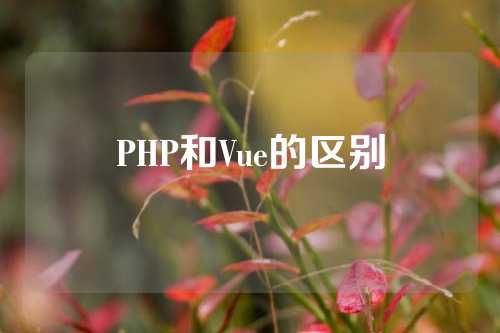 PHP和Vue的区别