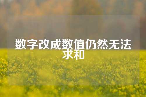 数字改成数值仍然无法求和