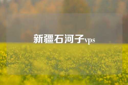 新疆石河子vps