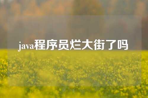 java程序员烂大街了吗