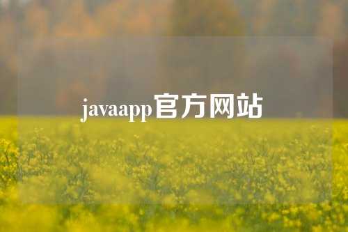 javaapp官方网站