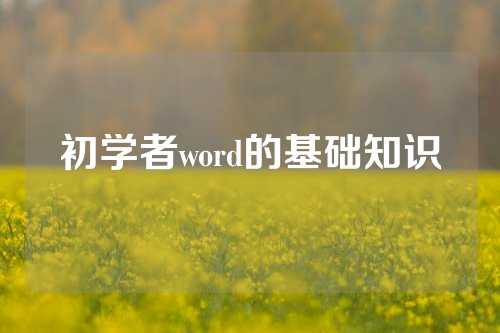 初学者word的基础知识