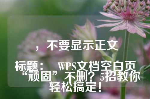 ，不要显示正文

标题：  WPS文档空白页“顽固”不删？5招教你轻松搞定！