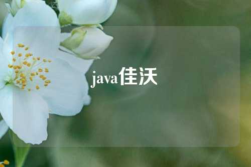 java佳沃