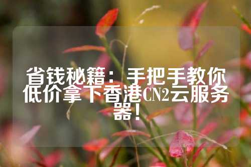 省钱秘籍：手把手教你低价拿下香港CN2云服务器！