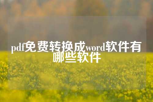 pdf免费转换成word软件有哪些软件