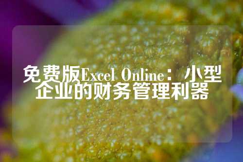 免费版Excel Online：小型企业的财务管理利器