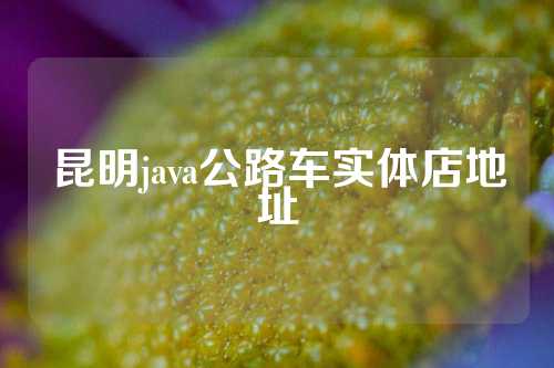 昆明java公路车实体店地址