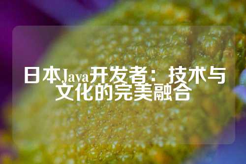 日本Java开发者：技术与文化的完美融合