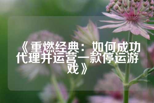 《重燃经典：如何成功代理并运营一款停运游戏》