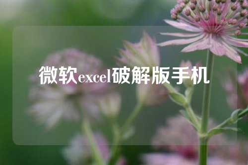 微软excel破解版手机