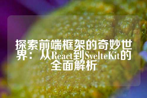 探索前端框架的奇妙世界：从React到SvelteKit的全面解析