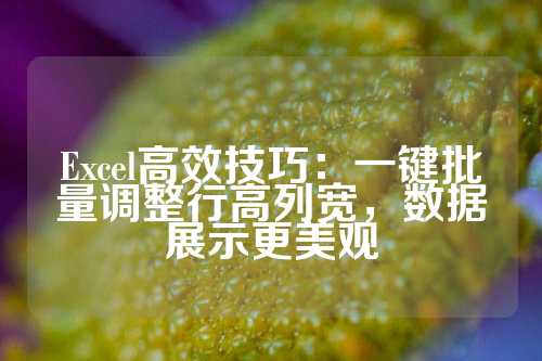 Excel高效技巧：一键批量调整行高列宽，数据展示更美观