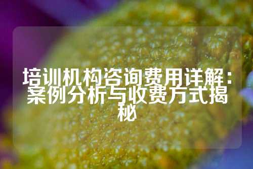 培训机构咨询费用详解：案例分析与收费方式揭秘