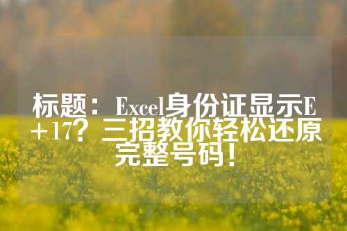 标题：Excel身份证显示E+17？三招教你轻松还原完整号码！