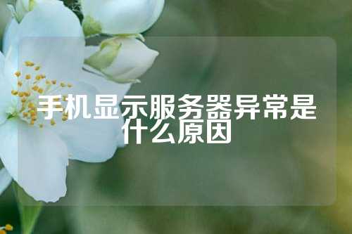 手机显示服务器异常是什么原因