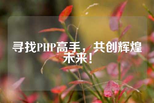 寻找PHP高手，共创辉煌未来！