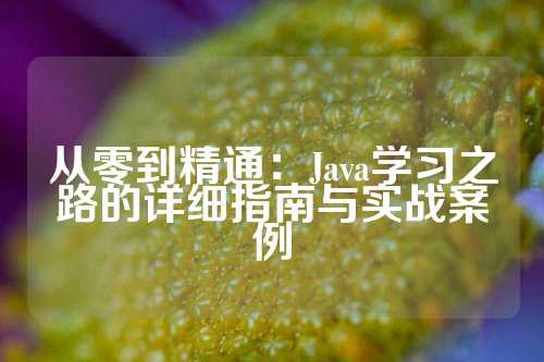 从零到精通：Java学习之路的详细指南与实战案例