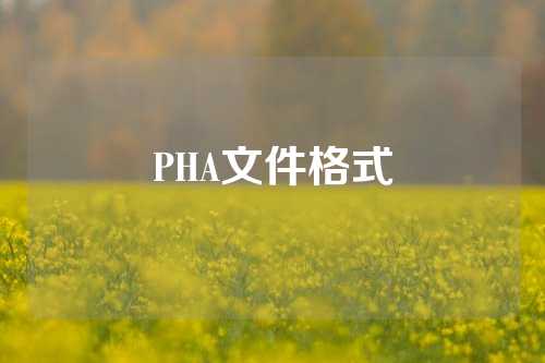 PHA文件格式