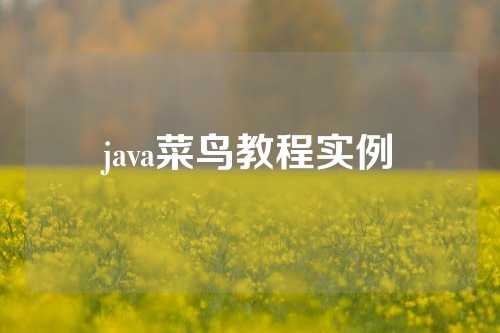 java菜鸟教程实例