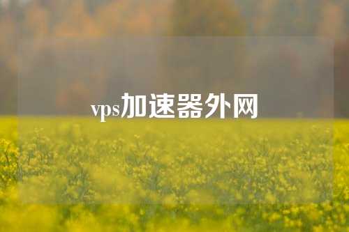 vps加速器外网