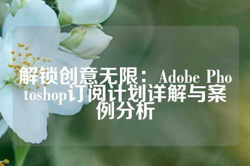 解锁创意无限：Adobe Photoshop订阅计划详解与案例分析