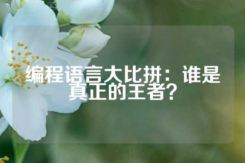 编程语言大比拼：谁是真正的王者？