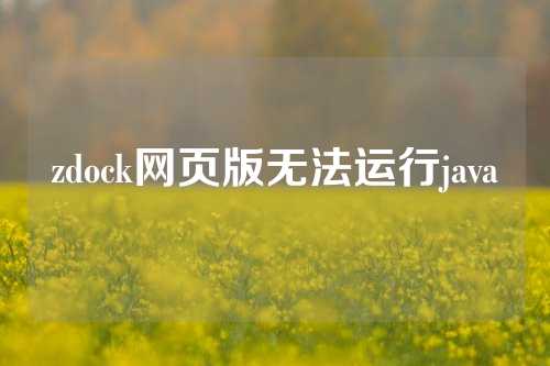 zdock网页版无法运行java