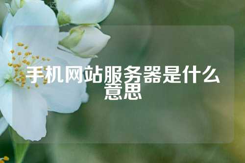 手机网站服务器是什么意思