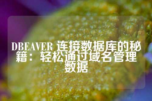 DBEAVER 连接数据库的秘籍：轻松通过域名管理数据