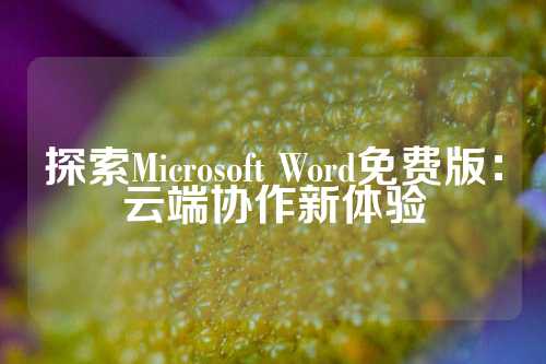 探索Microsoft Word免费版：云端协作新体验