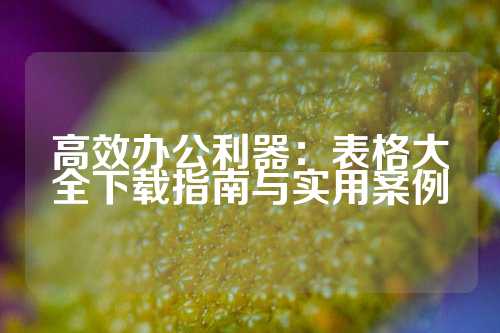 高效办公利器：表格大全下载指南与实用案例